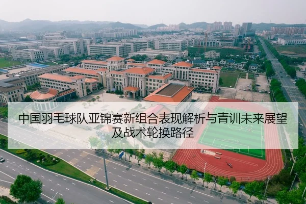中国羽毛球队亚锦赛新组合表现解析与青训未来展望及战术轮换路径